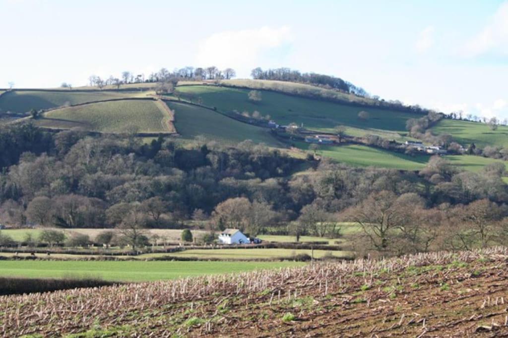 Rural Devon Retreat In Stunning Exe Valley. Эксетер Экстерьер фото
